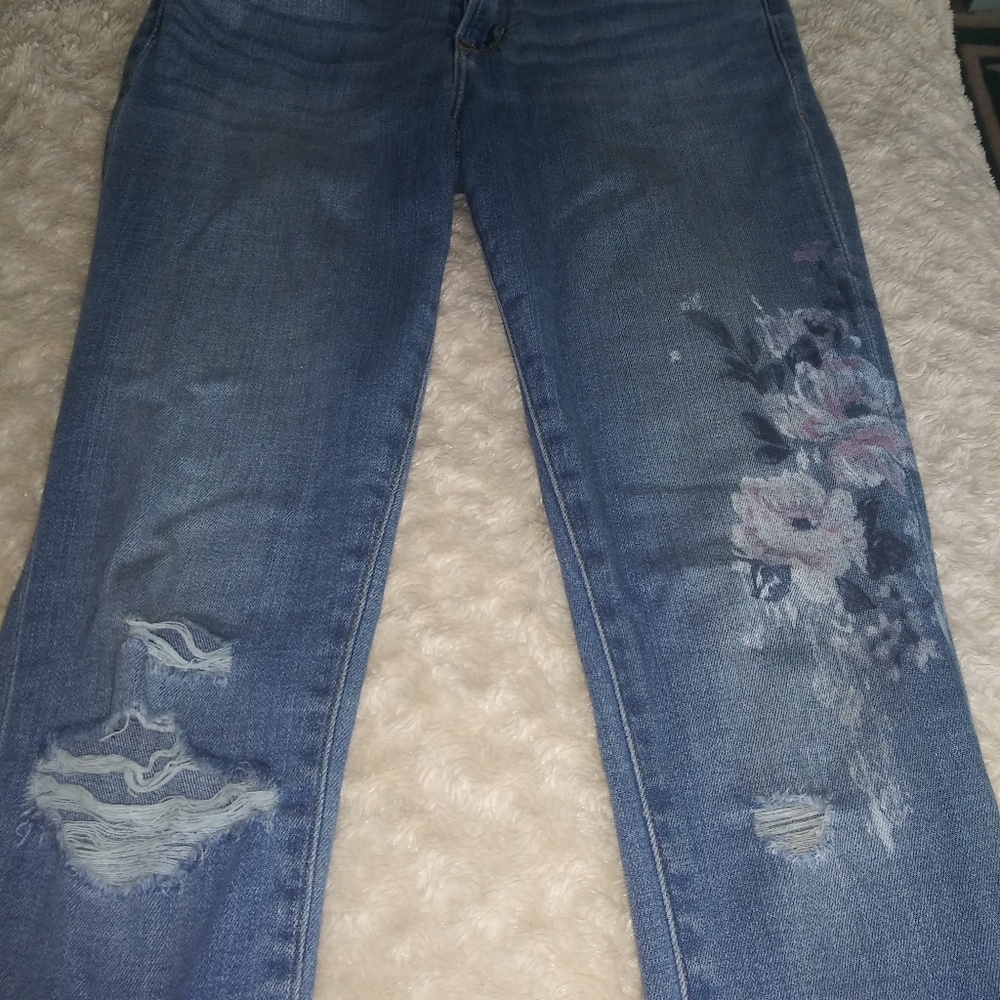 Abercrombie & Fitch Painted Jeans Size 24